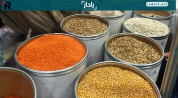 أسعار العدس والبقوليات في كفر الشيخ السبت 20 ديسمبر 2025